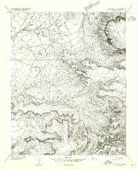 Download a high-resolution, GPS-compatible USGS topo map for Dinne Mesa SE, AZ (1955 edition)