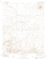 Download a high-resolution, GPS-compatible USGS topo map for Elephant Butte, AZ (1974 edition)