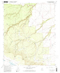Download a high-resolution, GPS-compatible USGS topo map for Elliott Canyon, AZ (1981 edition)