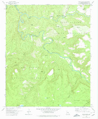 Download a high-resolution, GPS-compatible USGS topo map for Forks Butte, AZ (1978 edition)