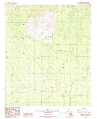 Download a high-resolution, GPS-compatible USGS topo map for Fortified Peak, AZ (1989 edition)