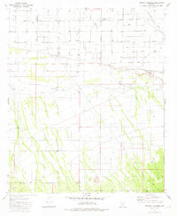 Download a high-resolution, GPS-compatible USGS topo map for Friendly Corners, AZ (1981 edition)