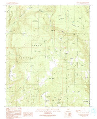 Download a high-resolution, GPS-compatible USGS topo map for Gentry Mountain, AZ (1991 edition)