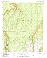 Download a high-resolution, GPS-compatible USGS topo map for Grama Draw, AZ (1984 edition)