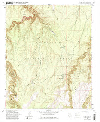 Download a high-resolution, GPS-compatible USGS topo map for Grama Draw, AZ (1984 edition)