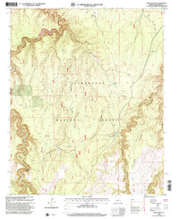 Download a high-resolution, GPS-compatible USGS topo map for Grama Draw, AZ (2000 edition)