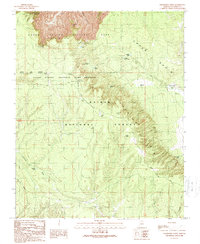 Download a high-resolution, GPS-compatible USGS topo map for Grandview Point, AZ (1989 edition)