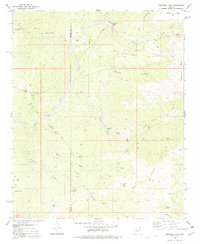 Download a high-resolution, GPS-compatible USGS topo map for Grayback Mts, AZ (1980 edition)