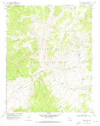 Download a high-resolution, GPS-compatible USGS topo map for Great Spring, AZ (1973 edition)