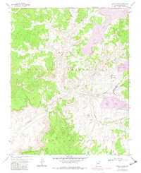 Download a high-resolution, GPS-compatible USGS topo map for Great Spring, AZ (1983 edition)