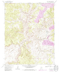 Download a high-resolution, GPS-compatible USGS topo map for Great Spring, AZ (1986 edition)