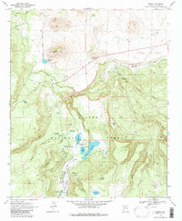 Download a high-resolution, GPS-compatible USGS topo map for Greer, AZ (1980 edition)