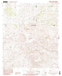 Download a high-resolution, GPS-compatible USGS topo map for Guadalupe Canyon, AZ (1986 edition)