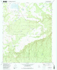 Download a high-resolution, GPS-compatible USGS topo map for Hay Lake, AZ (1983 edition)
