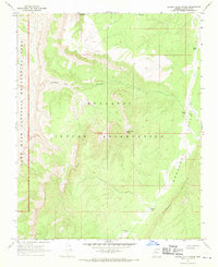 Download a high-resolution, GPS-compatible USGS topo map for Hockey Puck Spring, AZ (1970 edition)