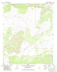 preview thumbnail of historical topo map of Apache County, AZ in 1980
