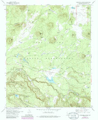 Download a high-resolution, GPS-compatible USGS topo map for Horseshoe Cienega, AZ (1986 edition)
