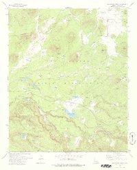 Download a high-resolution, GPS-compatible USGS topo map for Horseshoe Cienega, AZ (1978 edition)