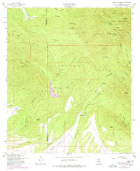 Download a high-resolution, GPS-compatible USGS topo map for Huachuca Peak, AZ (1978 edition)