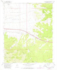 Download a high-resolution, GPS-compatible USGS topo map for Hualapai Peak NE, AZ (1980 edition)