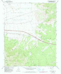 Download a high-resolution, GPS-compatible USGS topo map for Hualapai Spring, AZ (1991 edition)