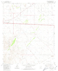 Download a high-resolution, GPS-compatible USGS topo map for Indian Butte, AZ (1981 edition)