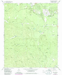 Download a high-resolution, GPS-compatible USGS topo map for Indian Pine, AZ (1986 edition)
