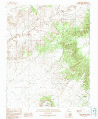 Download a high-resolution, GPS-compatible USGS topo map for Jeddito Spring, AZ (1991 edition)
