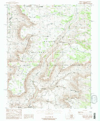 Download a high-resolution, GPS-compatible USGS topo map for Jumpup Point, AZ (1988 edition)