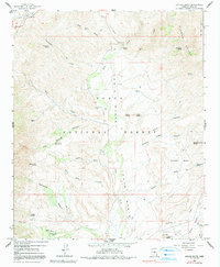 Download a high-resolution, GPS-compatible USGS topo map for Kayler Butte, AZ (1991 edition)