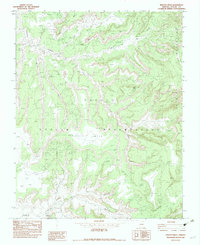 Download a high-resolution, GPS-compatible USGS topo map for Kinusta Mesa, AZ (1983 edition)