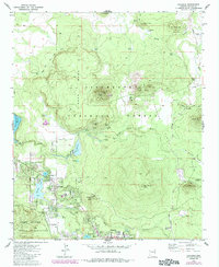 Download a high-resolution, GPS-compatible USGS topo map for Lakeside, AZ (1985 edition)