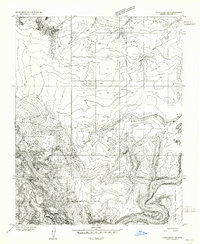 Download a high-resolution, GPS-compatible USGS topo map for Lees Ferry NE, AZ (1955 edition)