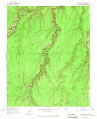 Download a high-resolution, GPS-compatible USGS topo map for Leonard Canyon, AZ (1967 edition)