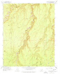 Download a high-resolution, GPS-compatible USGS topo map for Leonard Canyon, AZ (1978 edition)