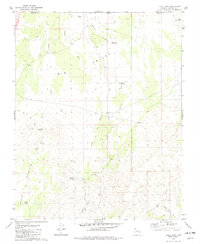 Download a high-resolution, GPS-compatible USGS topo map for Lizard Point, AZ (1982 edition)