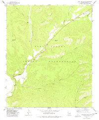 Download a high-resolution, GPS-compatible USGS topo map for Long Tom Canyon, AZ (1978 edition)