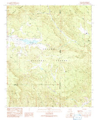 Download a high-resolution, GPS-compatible USGS topo map for Luna Lake, AZ (1991 edition)