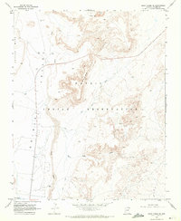 Download a high-resolution, GPS-compatible USGS topo map for Many Farms NE, AZ (1972 edition)