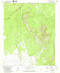 Download a high-resolution, GPS-compatible USGS topo map for Matterhorn, AZ (1979 edition)