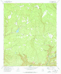 Download a high-resolution, GPS-compatible USGS topo map for Maverick, AZ (1978 edition)