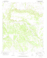 Download a high-resolution, GPS-compatible USGS topo map for Mesa Parada NW, AZ (1973 edition)
