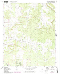 Download a high-resolution, GPS-compatible USGS topo map for Mesa Redonda NW, AZ (1984 edition)