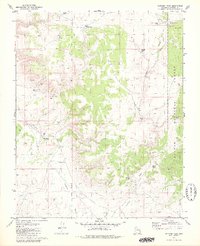 Download a high-resolution, GPS-compatible USGS topo map for Metzger Tank, AZ (1980 edition)