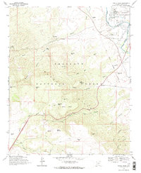 Download a high-resolution, GPS-compatible USGS topo map for Middle Verde, AZ (1971 edition)