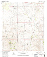 Download a high-resolution, GPS-compatible USGS topo map for Mount Fagan, AZ (1988 edition)