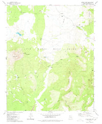 Download a high-resolution, GPS-compatible USGS topo map for Mount Hope, AZ (1980 edition)