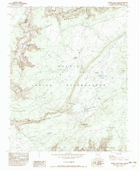 Download a high-resolution, GPS-compatible USGS topo map for Mummy Cave Ruins, AZ (1982 edition)