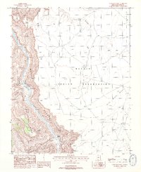 Download a high-resolution, GPS-compatible USGS topo map for Nankoweap Mesa, AZ (1988 edition)