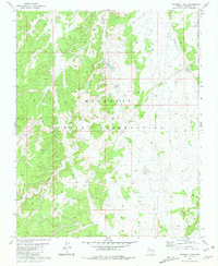 Download a high-resolution, GPS-compatible USGS topo map for National Tank, AZ (1981 edition)